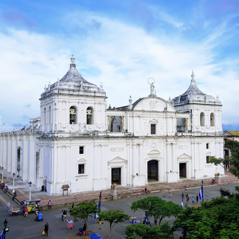 122687643 186578246270361 8769033923730800867 n 1 768x768